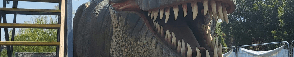 Background photo for Andra C.