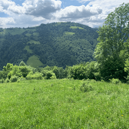 Dumitru B poza de pe Taskuri.ro