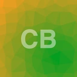 Profilul lui Cristi B