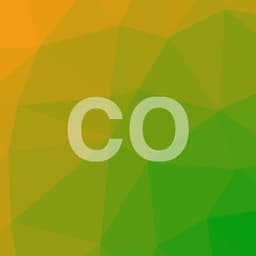 Profilul lui Cristina O