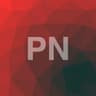 Profilul lui Petre N