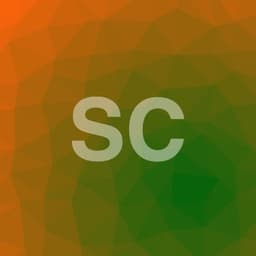 Profilul lui Sebastian C