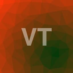 Profilul lui Valentin T