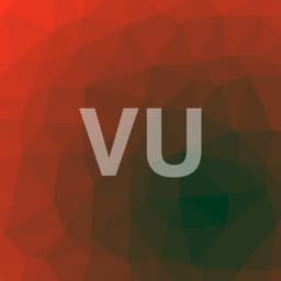 Profilul lui Viorel U