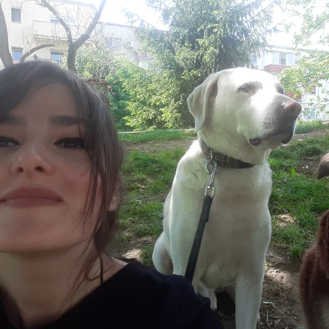 Plimbare scurtă 20-30 min