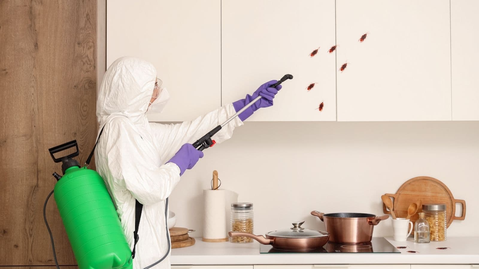 407
