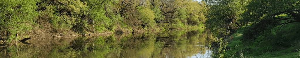 Background photo for Feliks M.