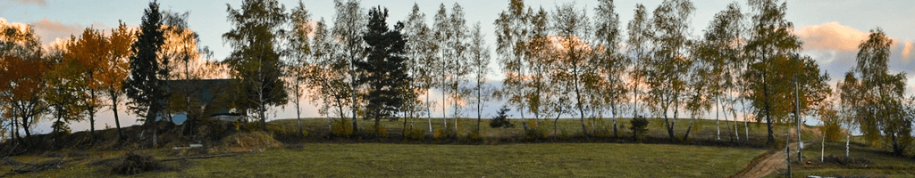 Background photo for Robert B.