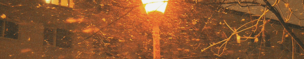 Background photo for Isabela E.