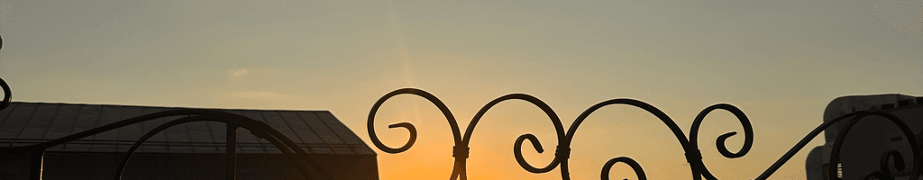 Background photo for Andreea M.