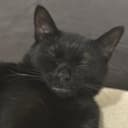 Profile pic