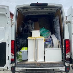 Mario I poza de pe Taskuri.ro