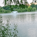 Diana D pe Taskuri.ro