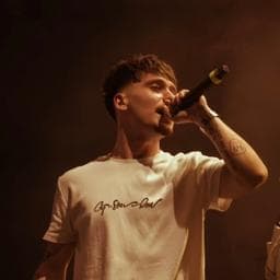 Profilul lui Mihai A