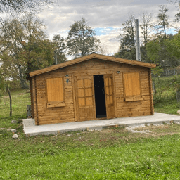 Sorin T poza de pe Taskuri.ro