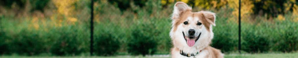 Background photo for Miruna D.