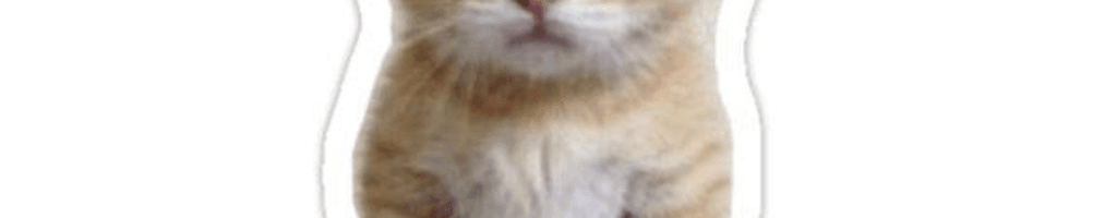 Background photo for Stefania M.