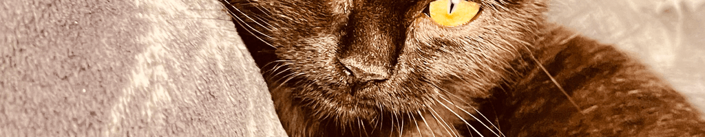 Background photo for Stefania T.