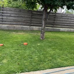 Profilul lui Dragos-andrei C