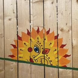 Profilul lui Dumitru O