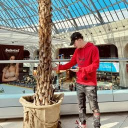 Profilul lui Pitica A