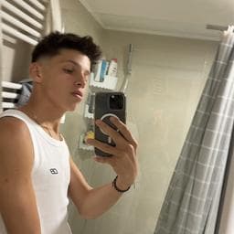 Profilul lui Stefan A