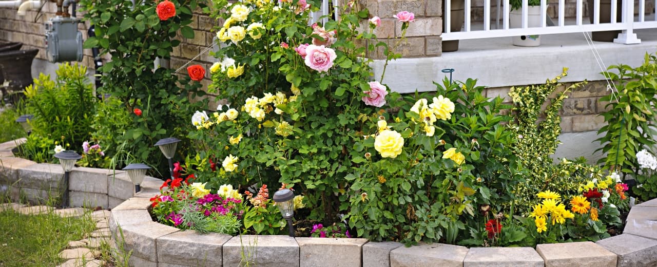 Îngrijire flori în Tecuci taskuri.ro